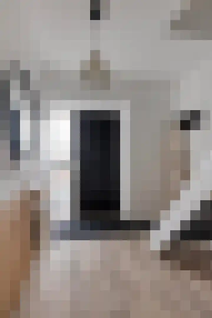 de Haere 18 Heerde thumbnail 15