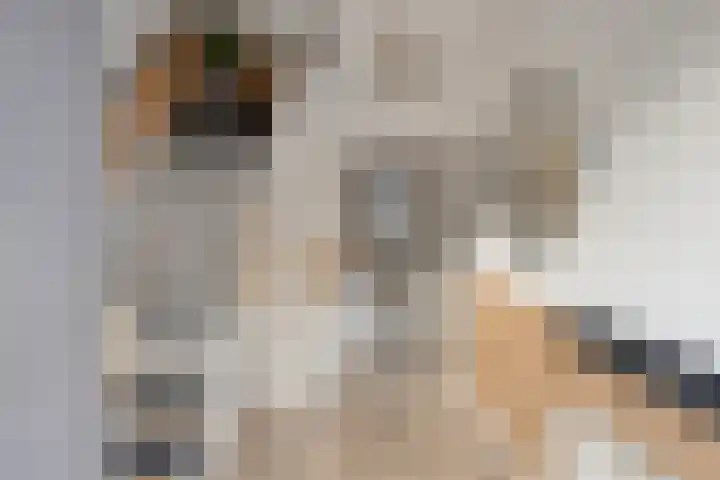 de Haere 18 Heerde thumbnail 17
