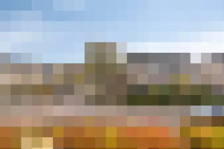 de Haere 18 Heerde thumbnail 26