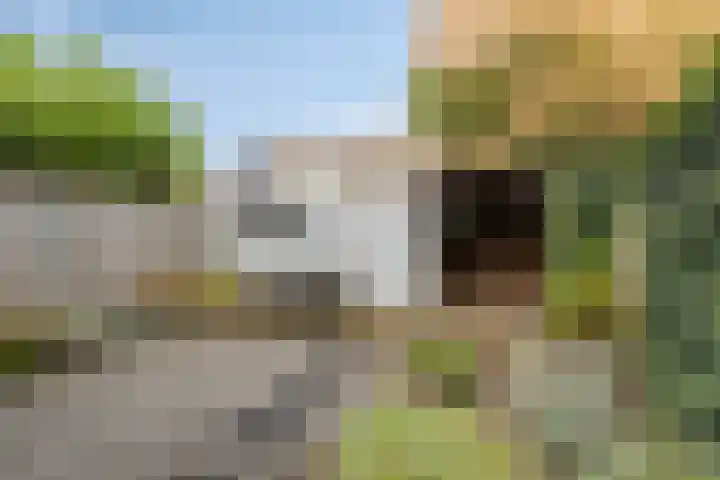 de Haere 18 Heerde thumbnail 37