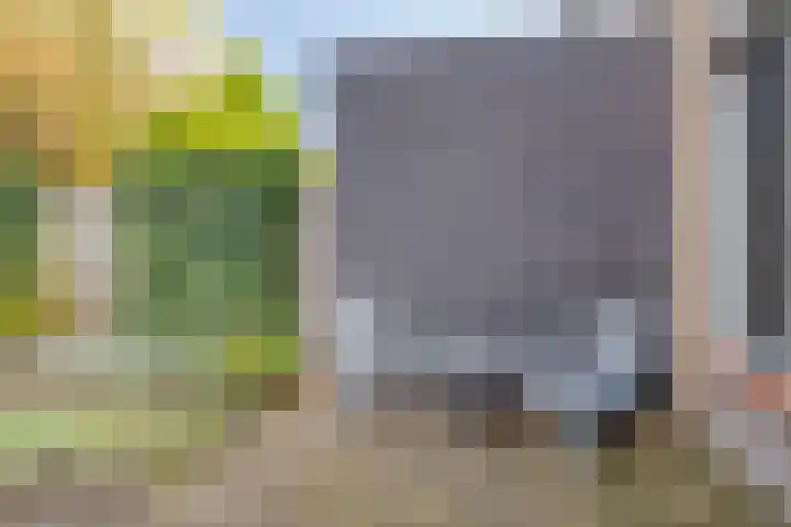 de Haere 18 Heerde thumbnail 40