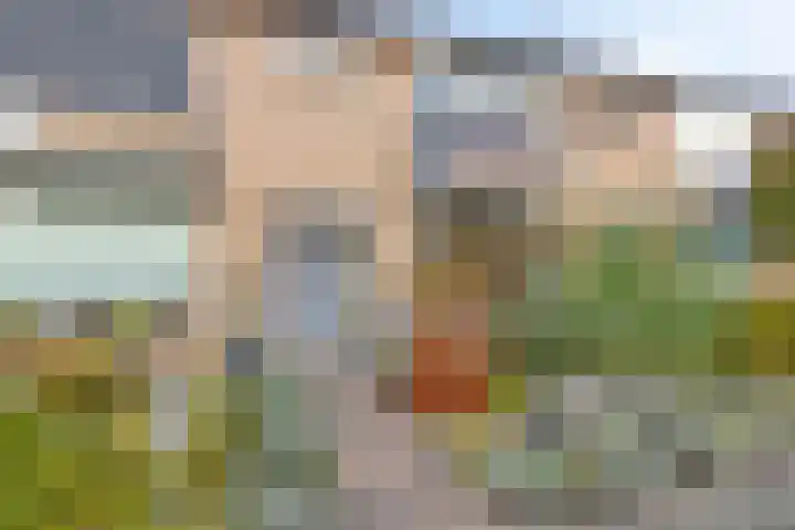 de Haere 18 Heerde thumbnail 41