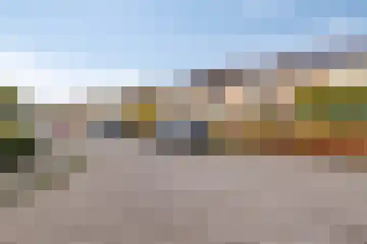 de Haere 18 Heerde thumbnail 43