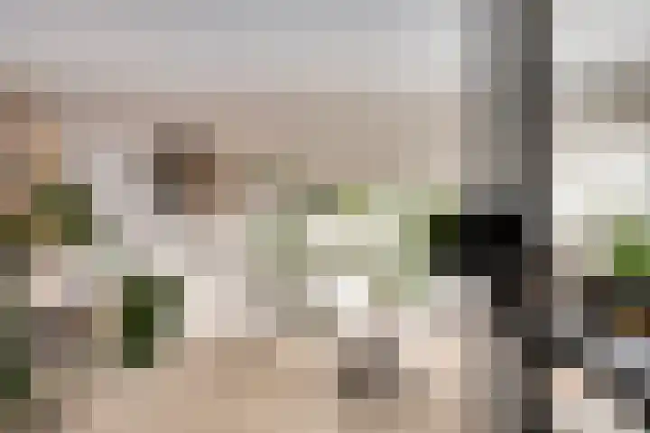 de Haere 18 Heerde thumbnail 5