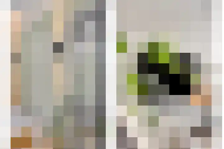 de Haere 18 Heerde thumbnail 6