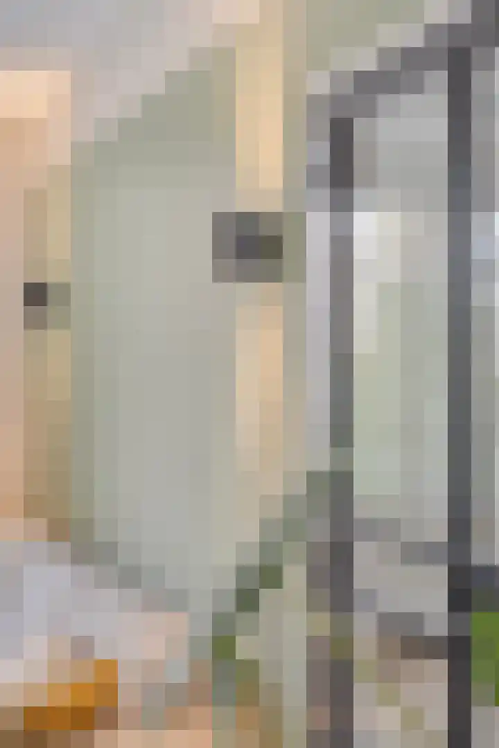 de Haere 18 Heerde thumbnail 7