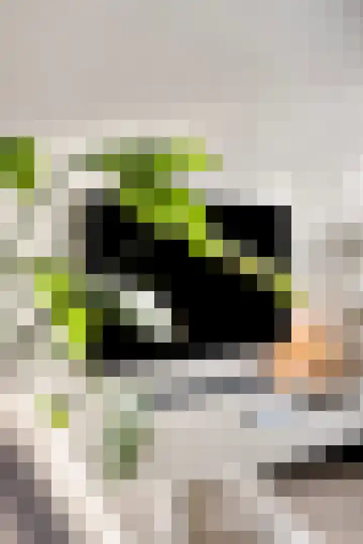 de Haere 18 Heerde thumbnail 8