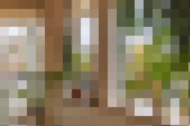 De Hagenborgh 6 Delden thumbnail 18