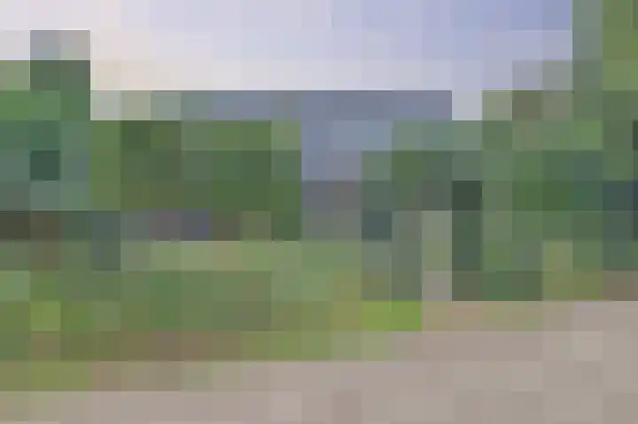 de Halmen 2 Voorst thumbnail 10