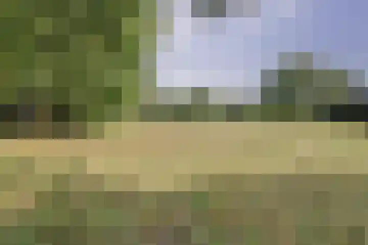 de Halmen 2 Voorst thumbnail 100