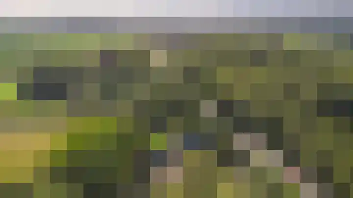 de Halmen 2 Voorst thumbnail 102