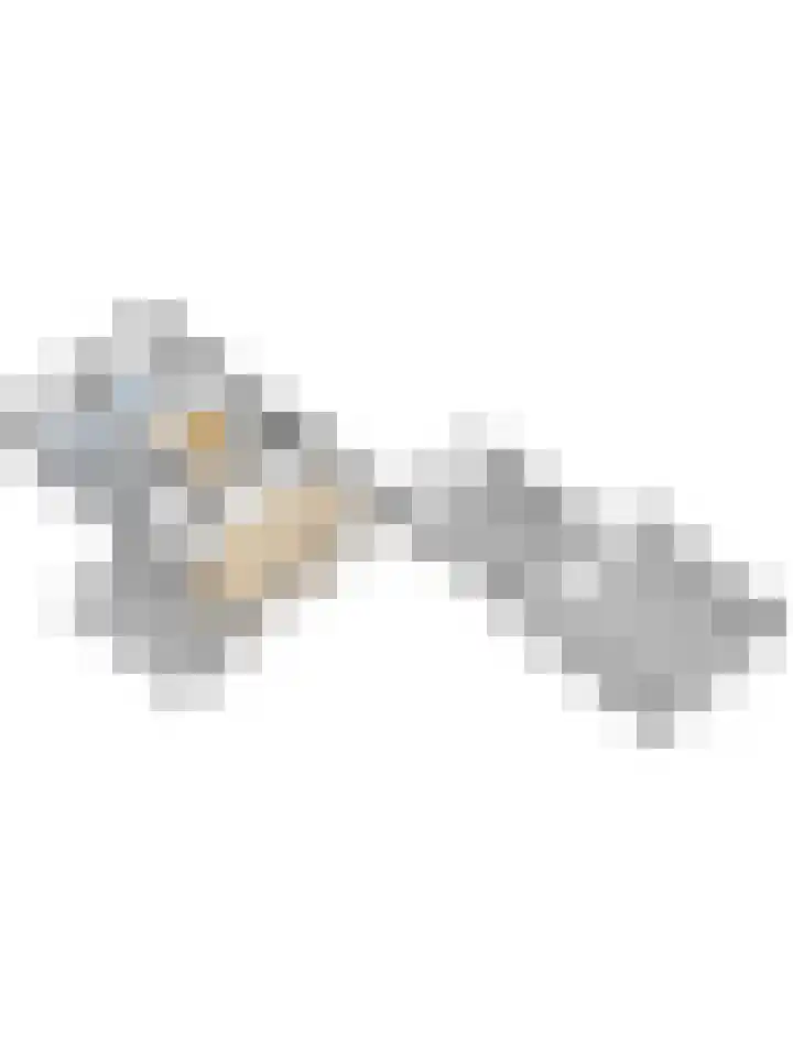 de Halmen 2 Voorst thumbnail 104