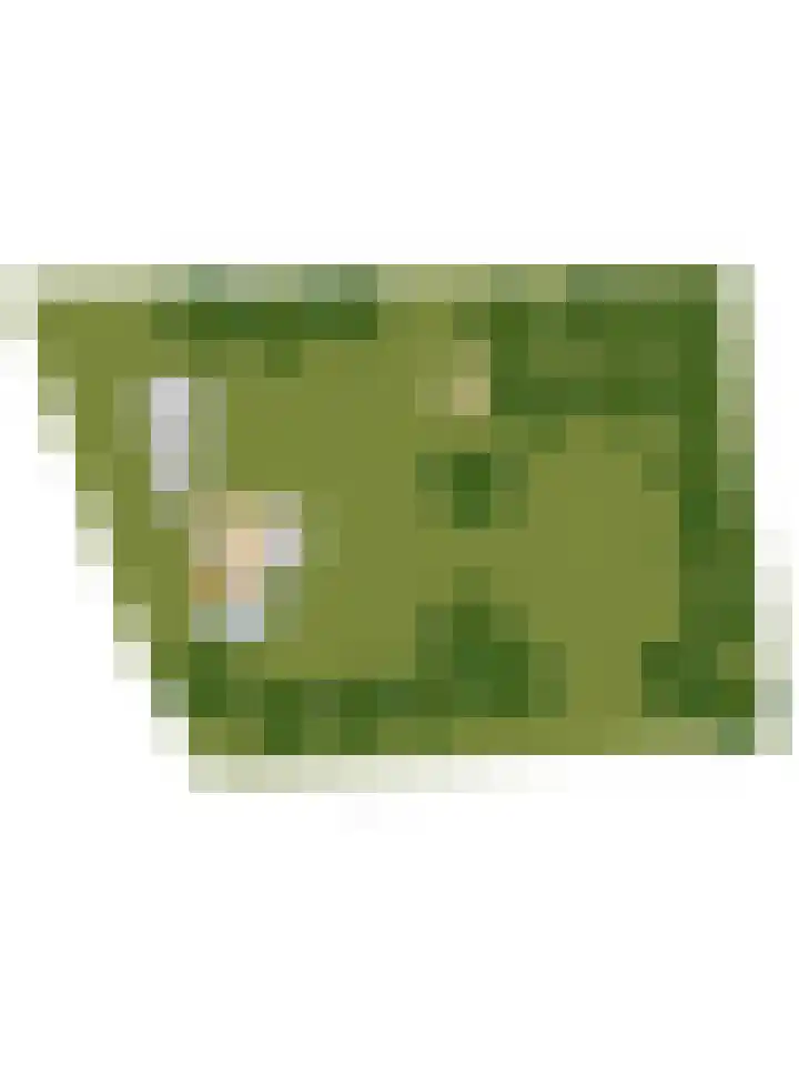 de Halmen 2 Voorst thumbnail 109