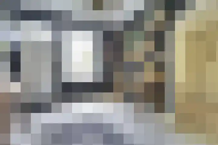de Halmen 2 Voorst thumbnail 11