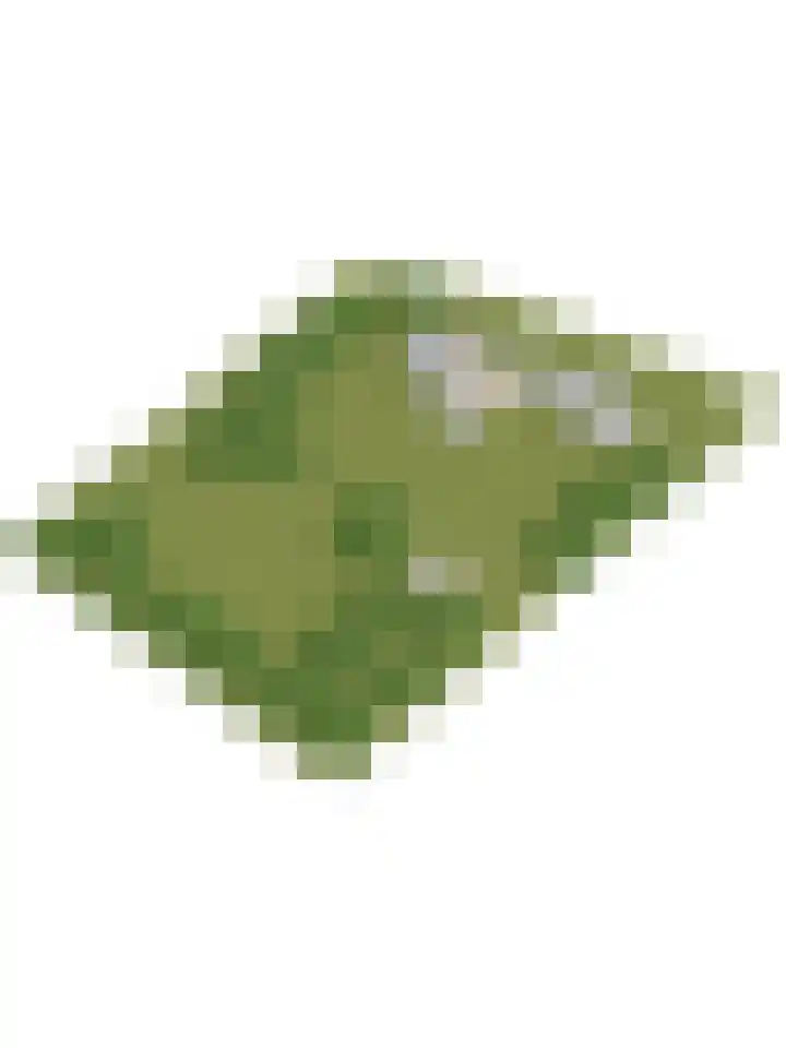 de Halmen 2 Voorst thumbnail 110