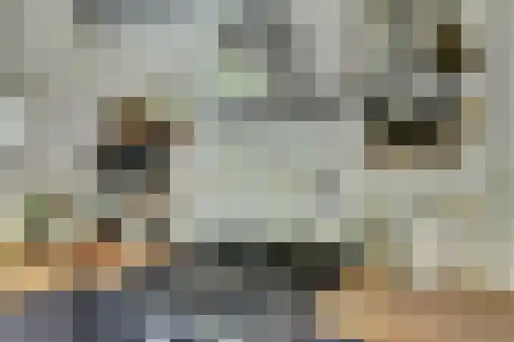 de Halmen 2 Voorst thumbnail 15