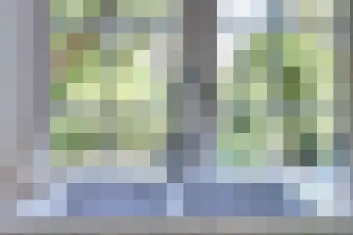 de Halmen 2 Voorst thumbnail 16