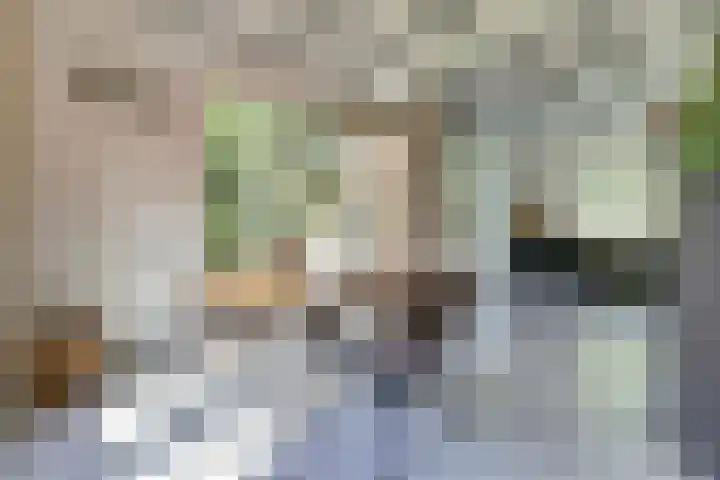 de Halmen 2 Voorst thumbnail 19