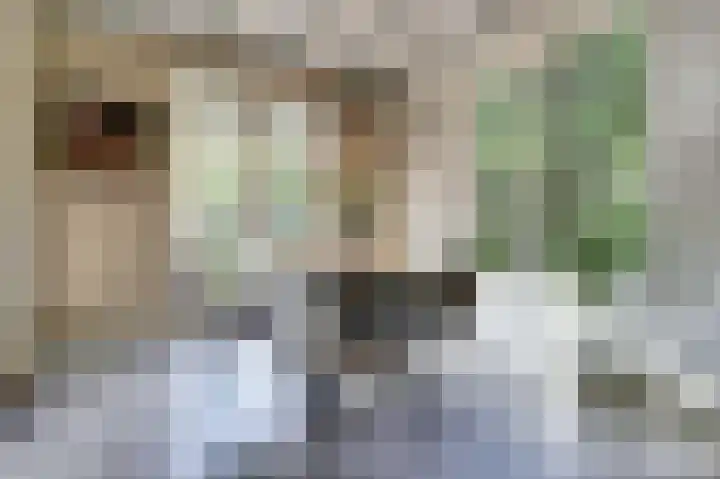 de Halmen 2 Voorst thumbnail 20