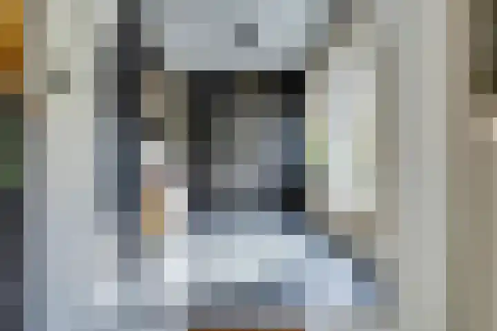 de Halmen 2 Voorst thumbnail 21