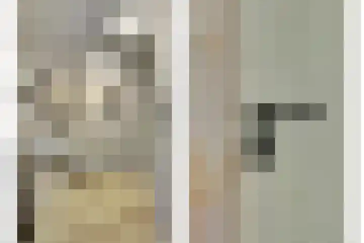 de Halmen 2 Voorst thumbnail 23