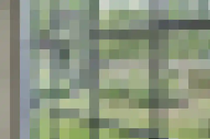 de Halmen 2 Voorst thumbnail 27