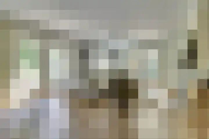 de Halmen 2 Voorst thumbnail 28