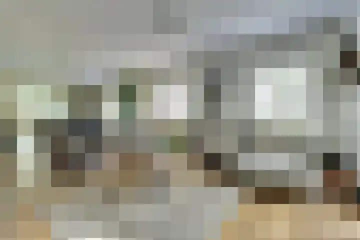 de Halmen 2 Voorst thumbnail 29