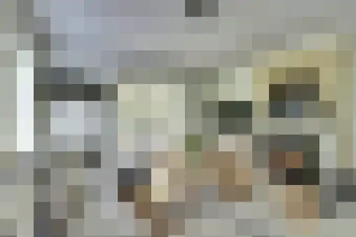 de Halmen 2 Voorst thumbnail 31