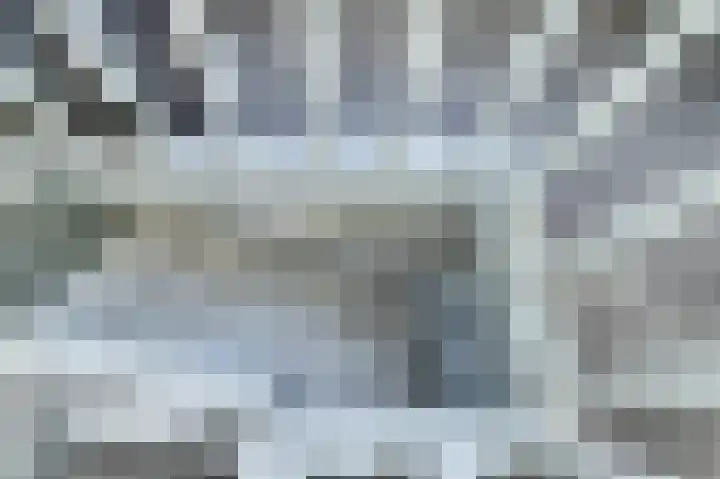 de Halmen 2 Voorst thumbnail 34