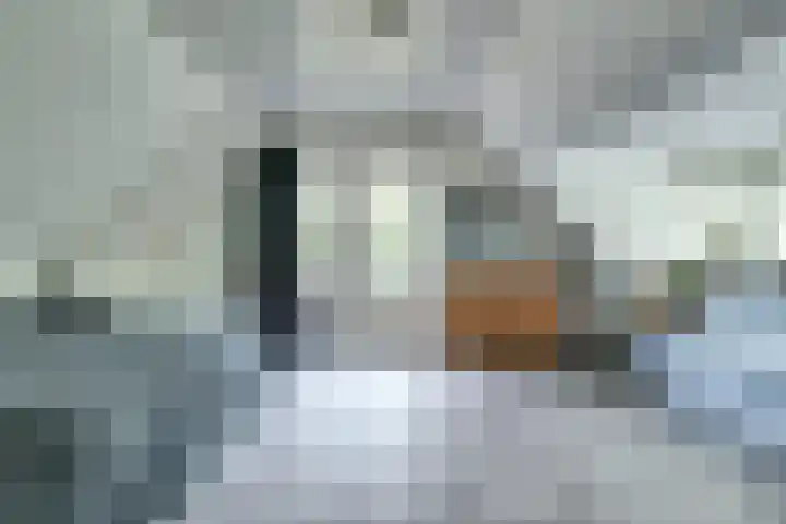 de Halmen 2 Voorst thumbnail 39