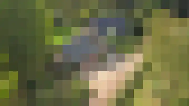 de Halmen 2 Voorst thumbnail 4