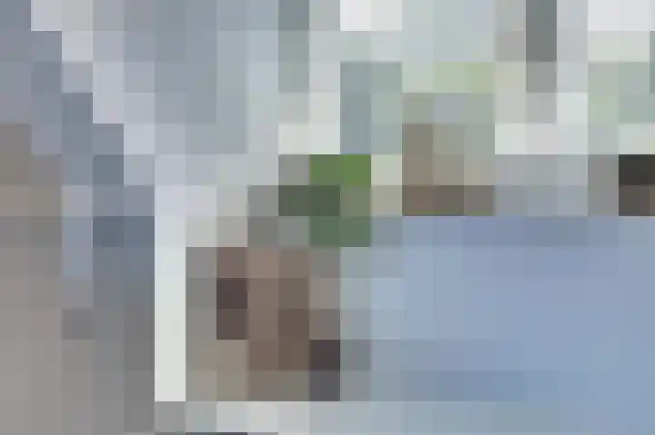 de Halmen 2 Voorst thumbnail 40
