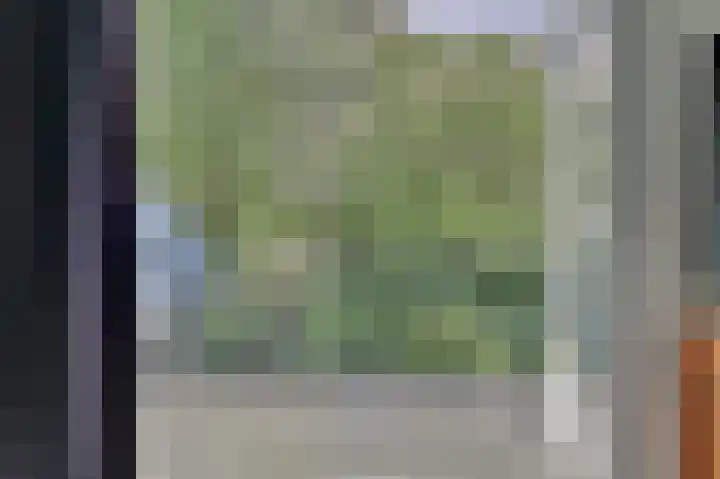 de Halmen 2 Voorst thumbnail 41