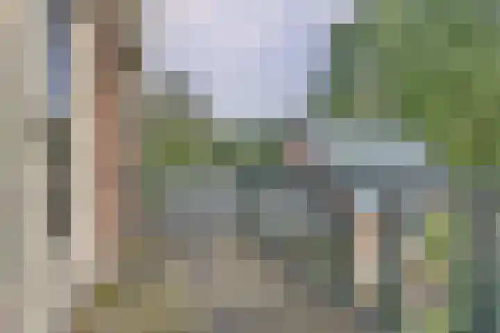 de Halmen 2 Voorst thumbnail 42