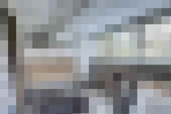de Halmen 2 Voorst thumbnail 43