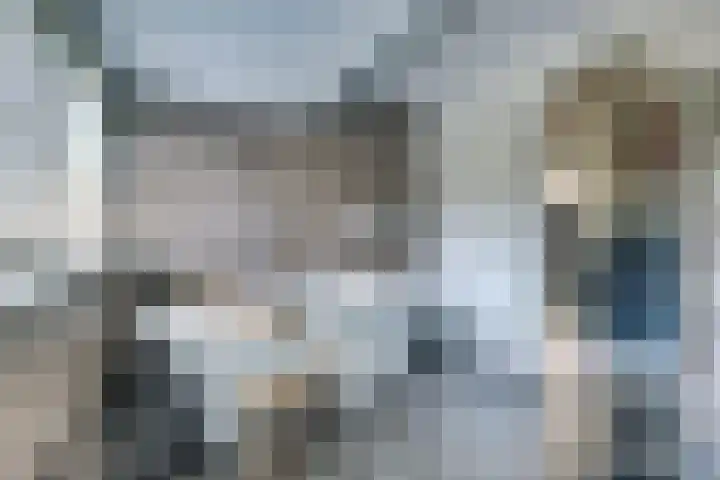 de Halmen 2 Voorst thumbnail 44