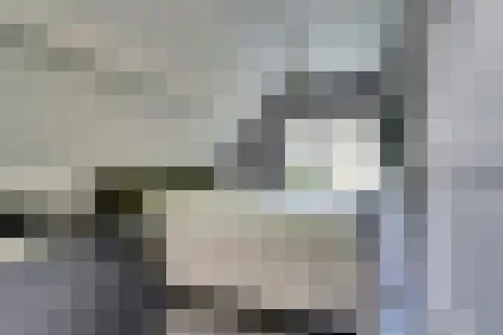 de Halmen 2 Voorst thumbnail 46
