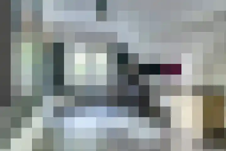 de Halmen 2 Voorst thumbnail 47