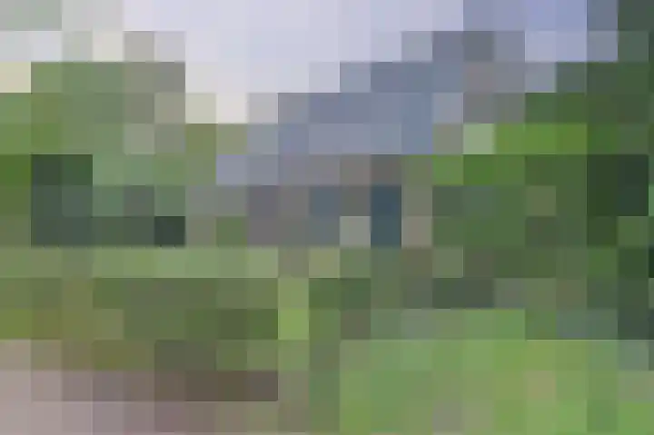 de Halmen 2 Voorst thumbnail 5