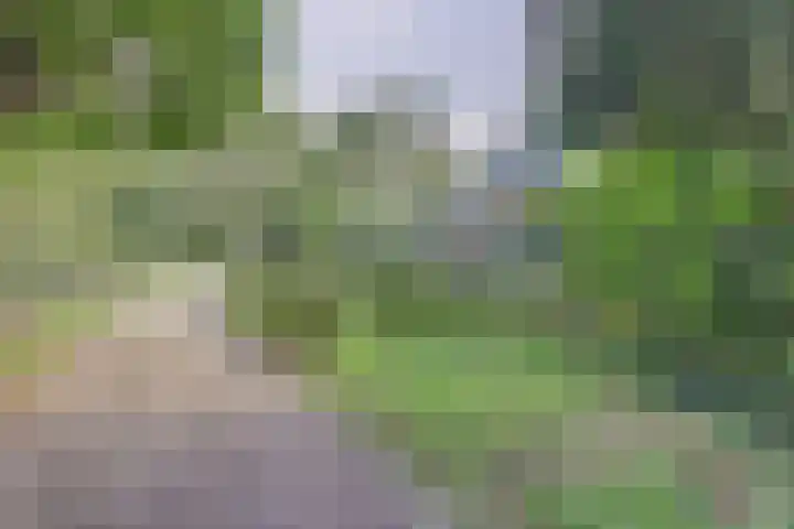 de Halmen 2 Voorst thumbnail 50