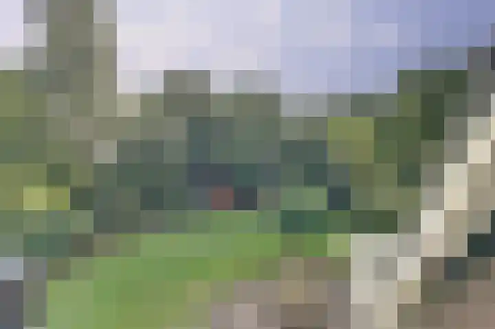 de Halmen 2 Voorst thumbnail 51