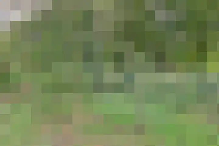 de Halmen 2 Voorst thumbnail 53