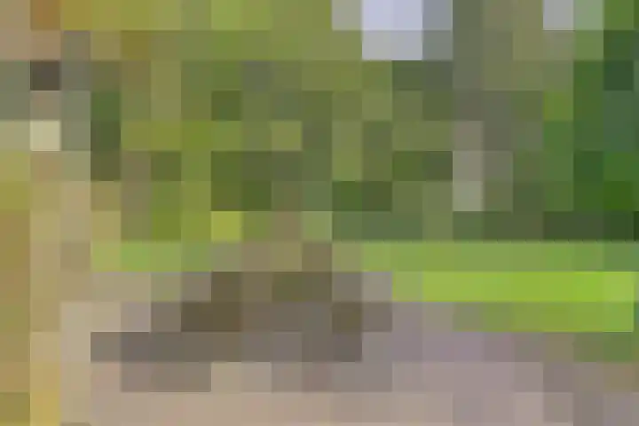 de Halmen 2 Voorst thumbnail 54