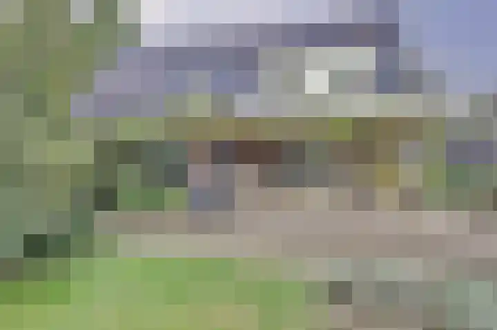 de Halmen 2 Voorst thumbnail 55