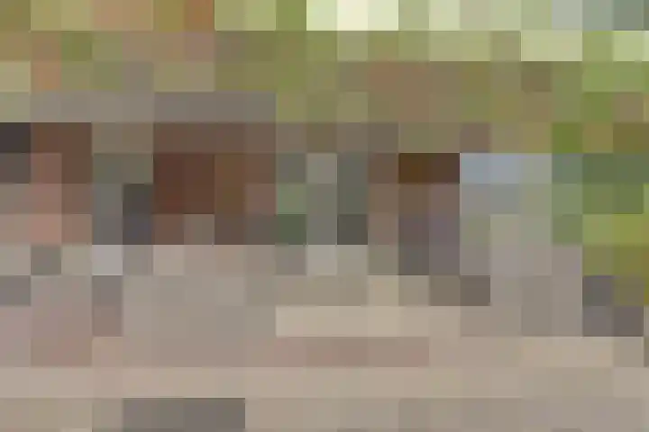 de Halmen 2 Voorst thumbnail 56