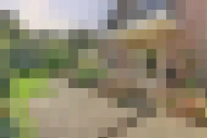 de Halmen 2 Voorst thumbnail 57