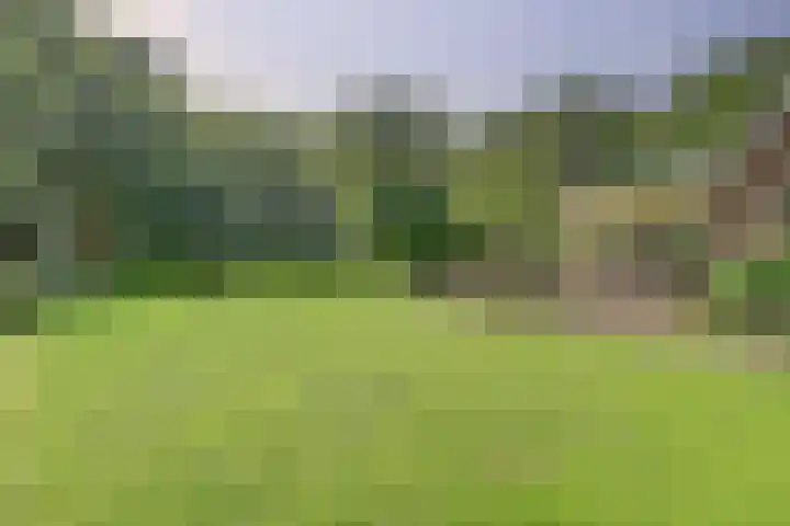 de Halmen 2 Voorst thumbnail 58