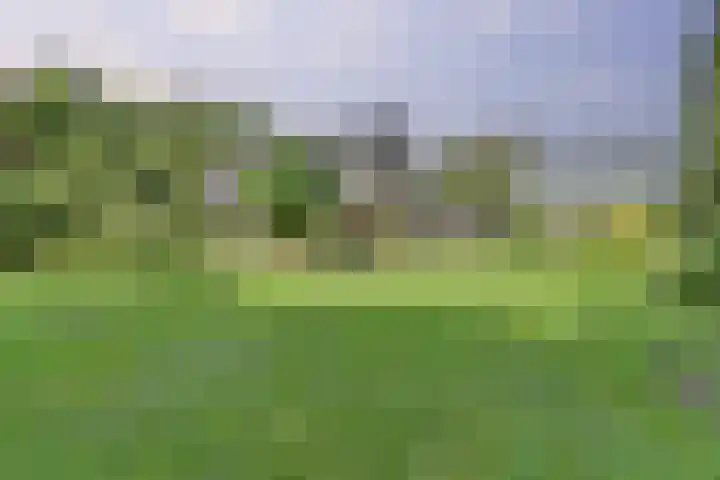 de Halmen 2 Voorst thumbnail 59