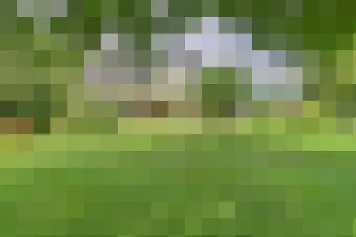 de Halmen 2 Voorst thumbnail 60